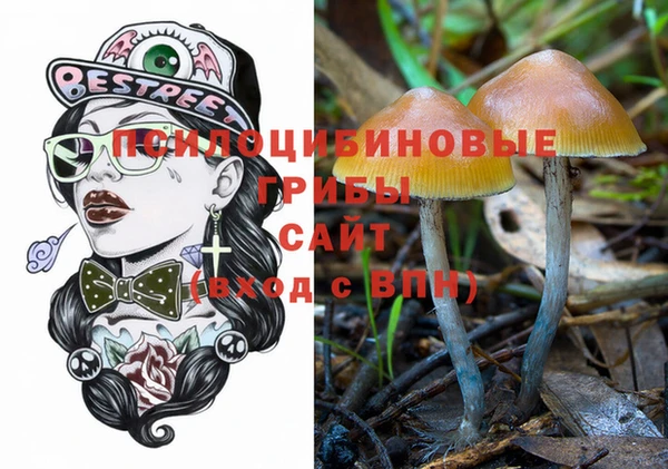 стафф Богородицк