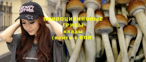 стафф Богородицк