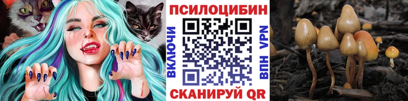 Галлюциногенные грибы GOLDEN TEACHER Великий Новгород