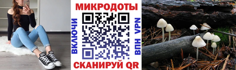 Псилоцибиновые грибы мицелий  Великий Новгород 